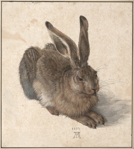 aquarelle lievre durer eric bourdon