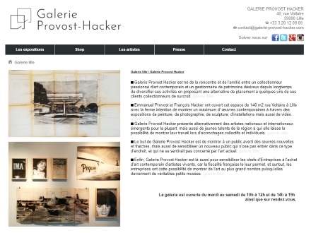 galerie provost-hacker lille art eric bourdon