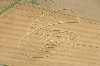 crop circle switzerland - eric bourdon