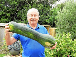 big zucchini