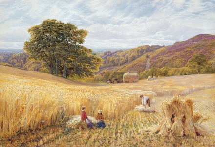 harvest time near holmbury hill george vicat cole painter